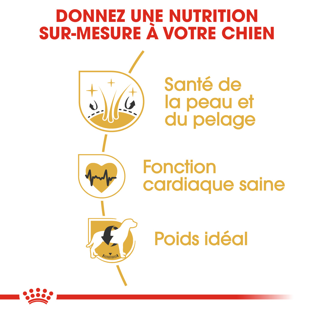 Alimentation chiens: Golden Retriever ADULT
