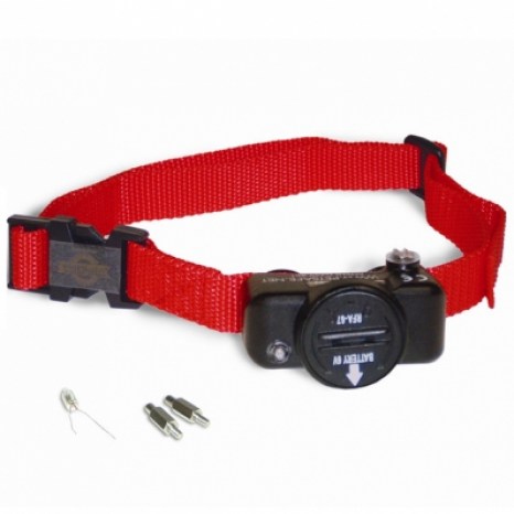 collier-anti-fugue-petsafe-pig19-10764